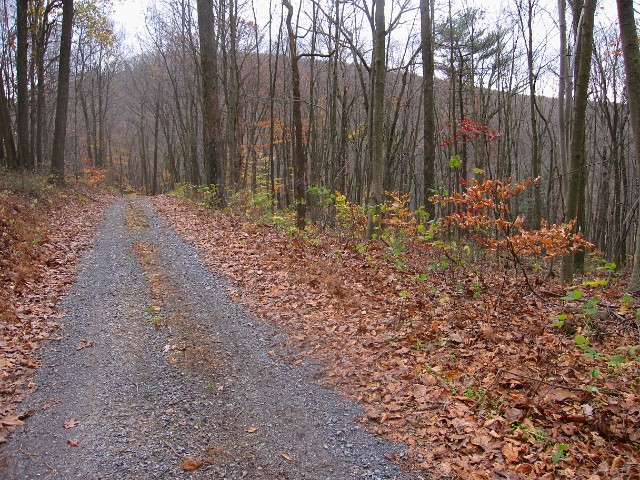 064a (2)